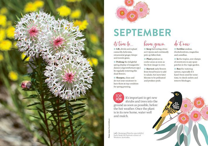 ABC Gardening Australia