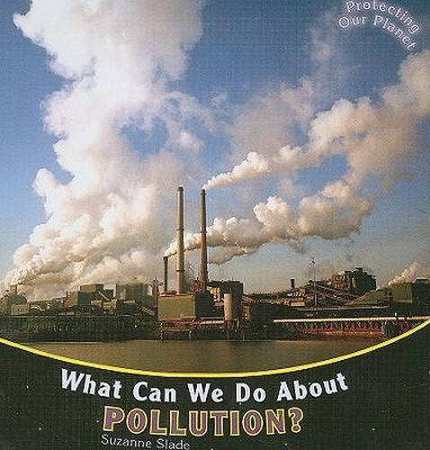 What Can We Do about Pollution?