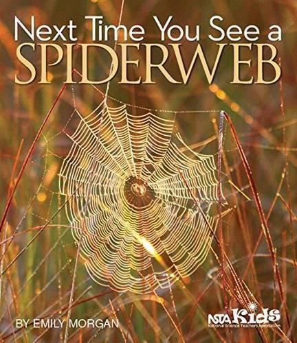 Cover image for Next Time You See a Spiderweb