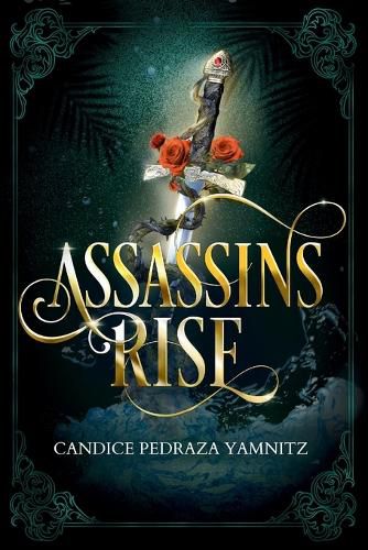 Cover image for Assassins Rise