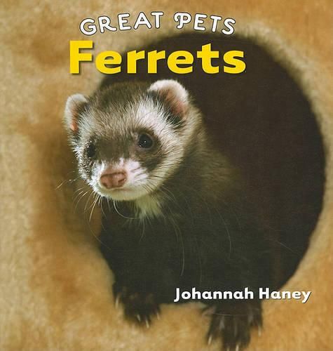 Cover image for Ferrets