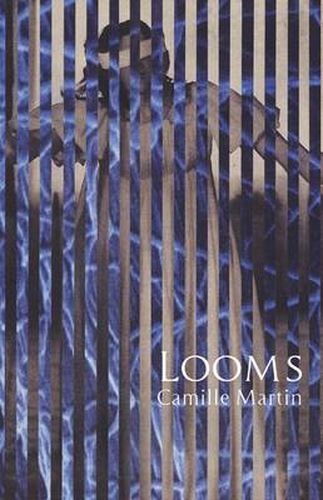 Cover image for Looms