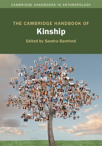 Cover image for The Cambridge Handbook of Kinship