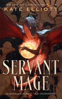 Cover image for Servant Mage