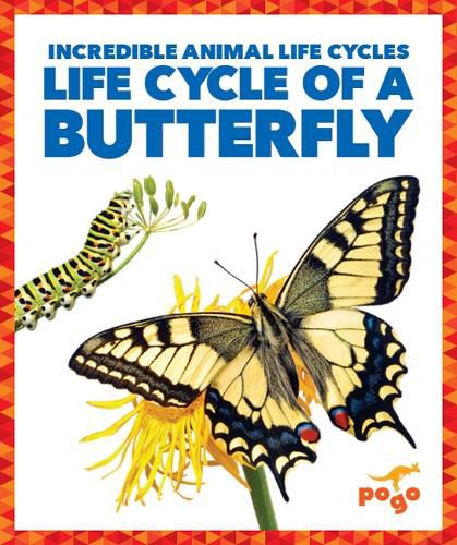 Cover image for Life Cycle of a Butterfly