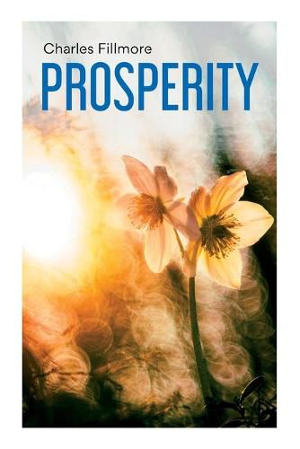 Cover image for Prosperity: God Has Provided Prosperity for Every Home