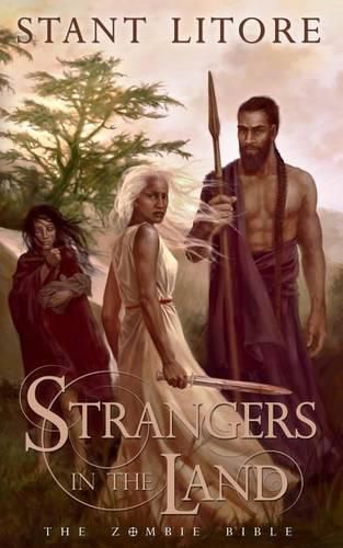 Cover image for Strangers in the Land