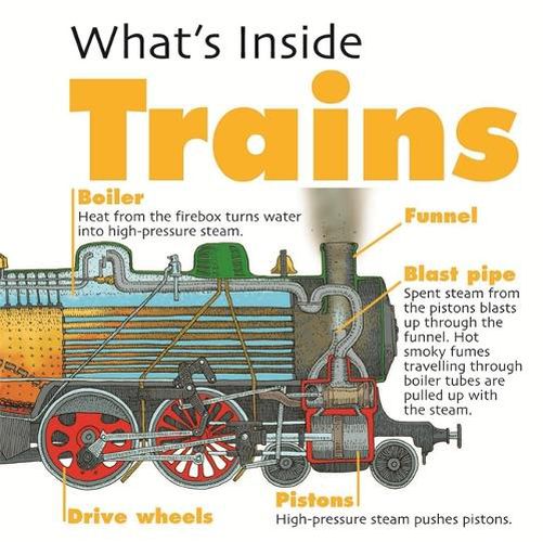 What's Inside?: Trains