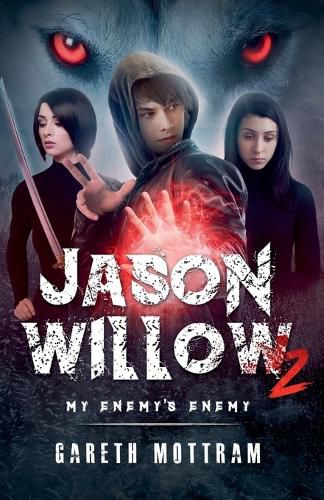 Cover image for Jason Willow 2 - My Enemy's Enemy