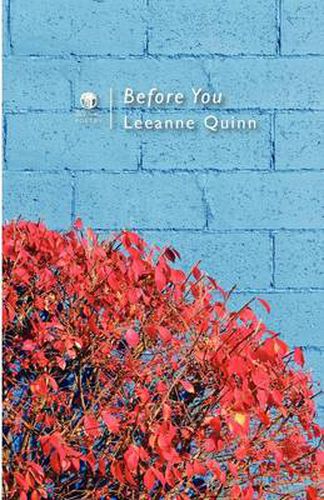 Cover image for Before You