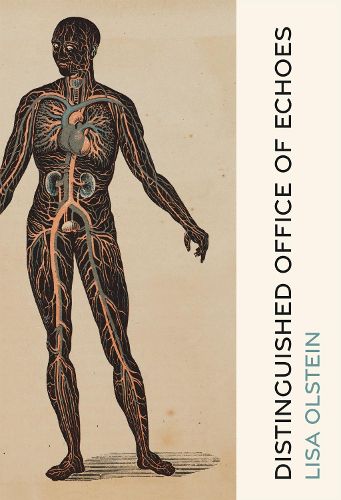 Cover image for Distinguished Office of Echoes