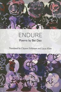 Cover image for Endure