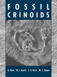 Cover image for Fossil Crinoids