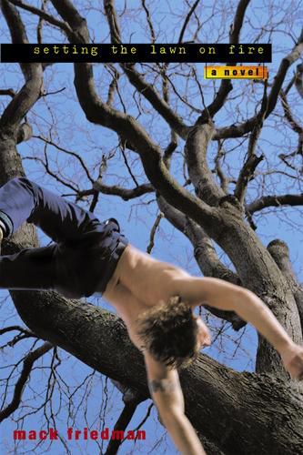 Cover image for Setting the Lawn on Fire: A Novel