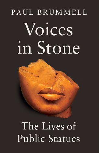 Cover image for Voices in Stone