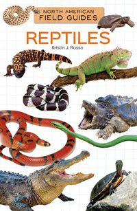 Cover image for Reptiles