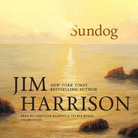 Cover image for Sundog