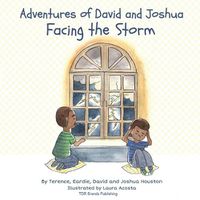 Cover image for Facing the Storm