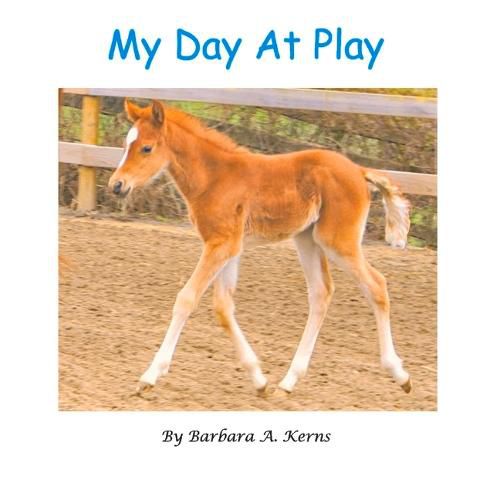 Cover image for My Day At Play