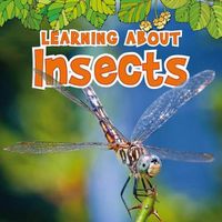 Cover image for Learning about Insects