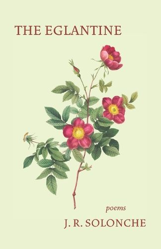 Cover image for The Eglantine