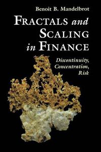 Cover image for Fractals and Scaling in Finance: Discontinuity, Concentration, Risk. Selecta Volume E