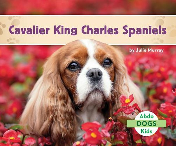 Cover image for Cavalier King Charles Spaniels