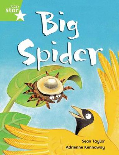 Cover image for Rigby Star Guided Phonic Opportunity Readers Green: Big Spider Pupil Book (Single)