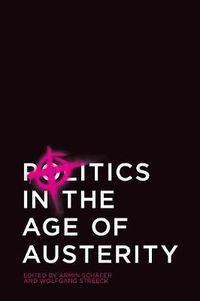 Cover image for Politics in the Age of Austerity