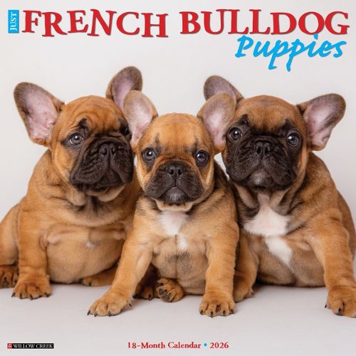 Cover image for French Bulldog Puppies 2026 12 X 12 Wall Calendar
