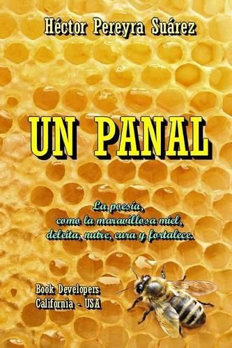 Cover image for Un Panal