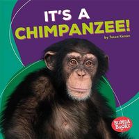 Cover image for It's a Chimpanzee!