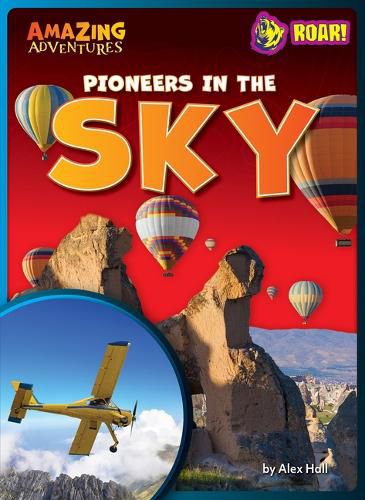 Cover image for Pioneers in the Sky