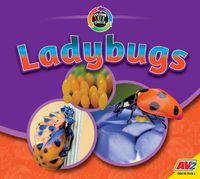 Cover image for Ladybugs