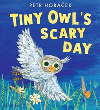 Cover image for Tiny Owl's Scary Day