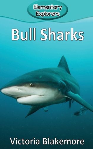Cover image for Bull Sharks