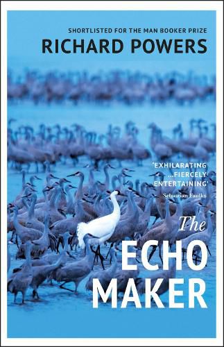 Cover image for The Echo Maker