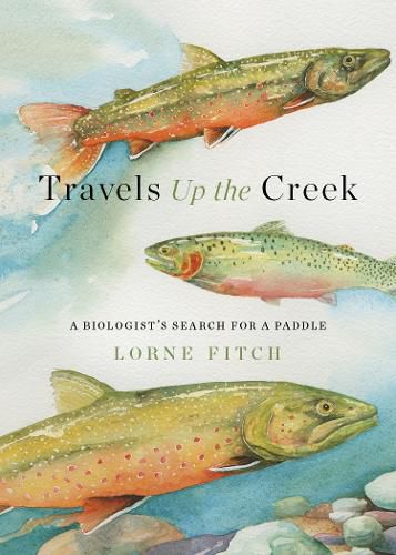 Travels Up the Creek