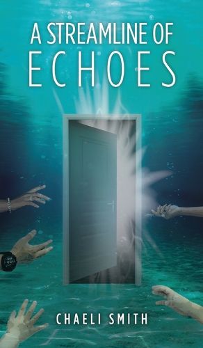 Cover image for A Streamline of Echoes