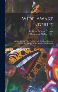 Cover image for Wide-awake Stories