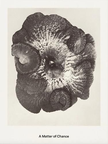 Cover image for A Matter of Chance