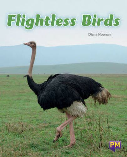 Flightless Birds