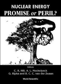 Cover image for Nuclear Energy: Promise Or Peril?