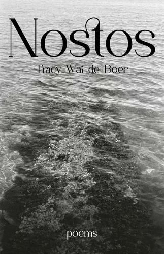 Cover image for Nostos