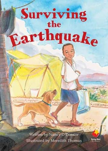 Cover image for Surviving the Earthquake