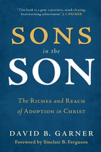 Cover image for Sons in the Son