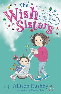 Cover image for The Big Wish: The Wish Sisters Book 2