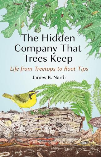 Cover image for The Hidden Company That Trees Keep: Life from Treetops to Root Tips