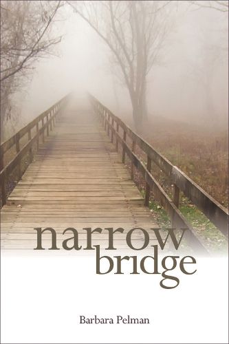 Cover image for Narrow Bridge