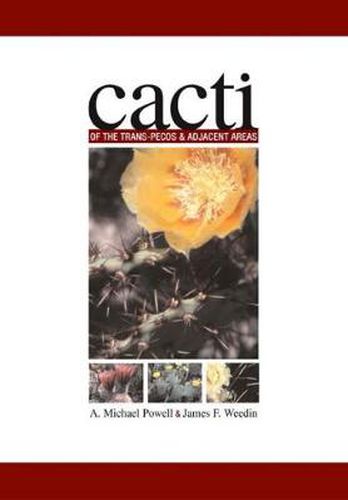 Cover image for Cacti of the Trans-Pecos and Adjacent Areas